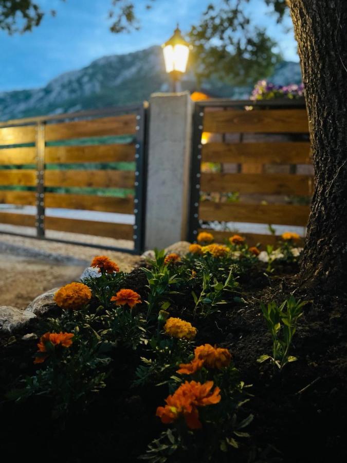 Guest House Mare Bar Esterno foto